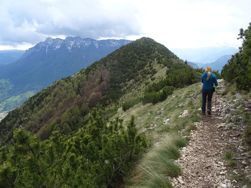 Cima Marzola, quota 1738 e quota 1736 m.